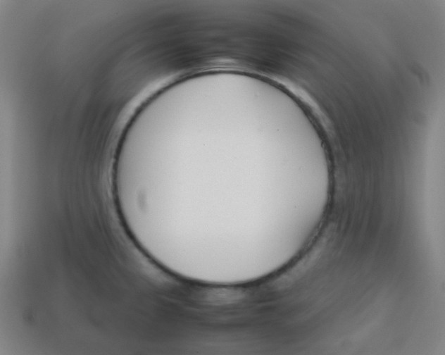 X0000113871333200910221326