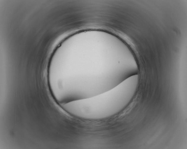 X0000113871334200910221327