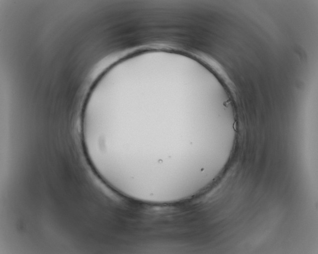 X0000113871335200910221327