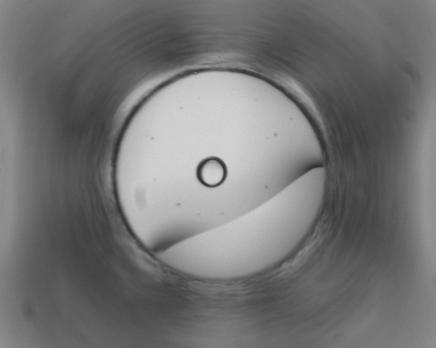 X0000113871336200910221327