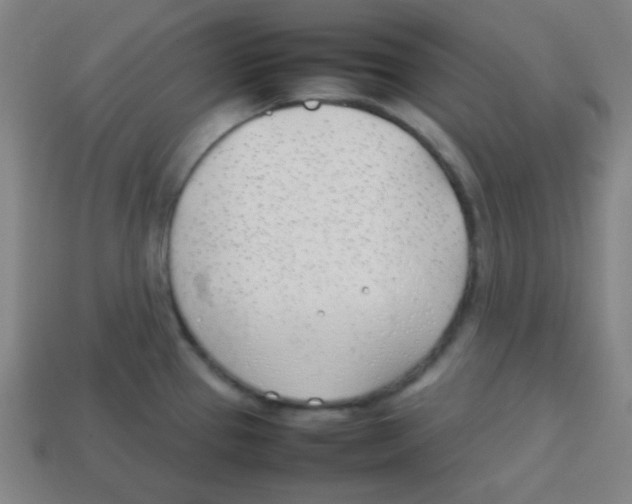 X0000113871337200910221327