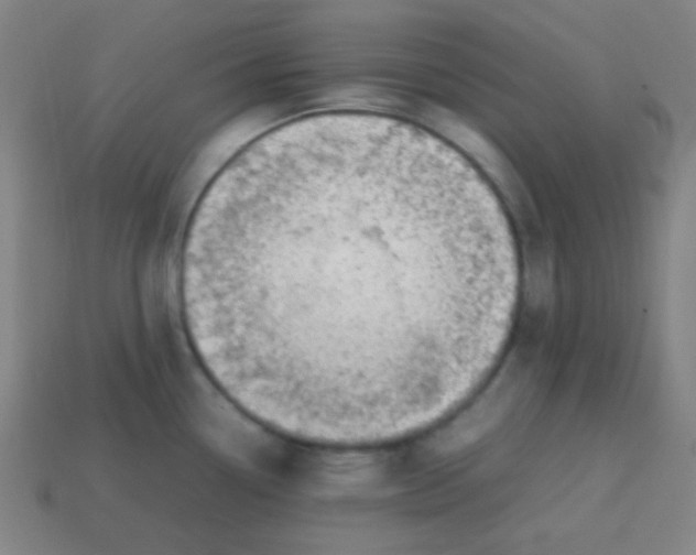 X0000113871338200910221327