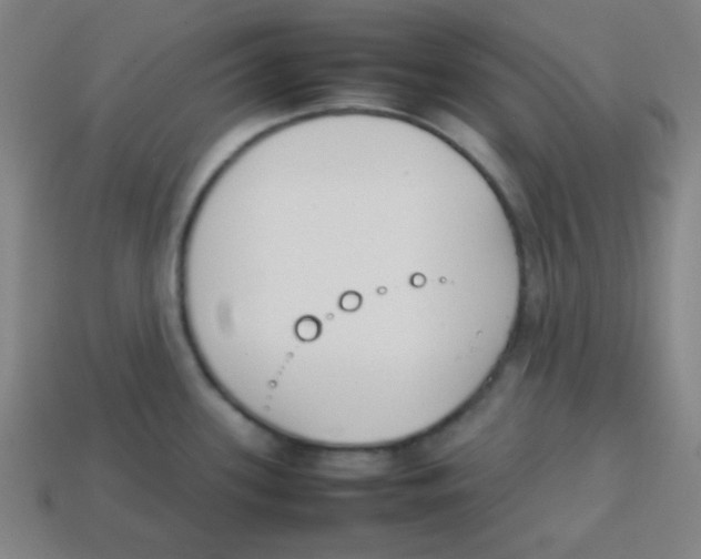 X0000113871339200910221327