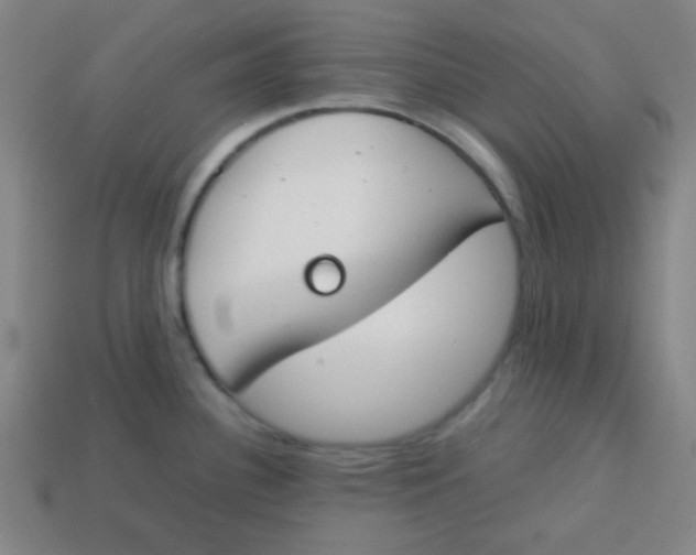 X0000113871340200910221327