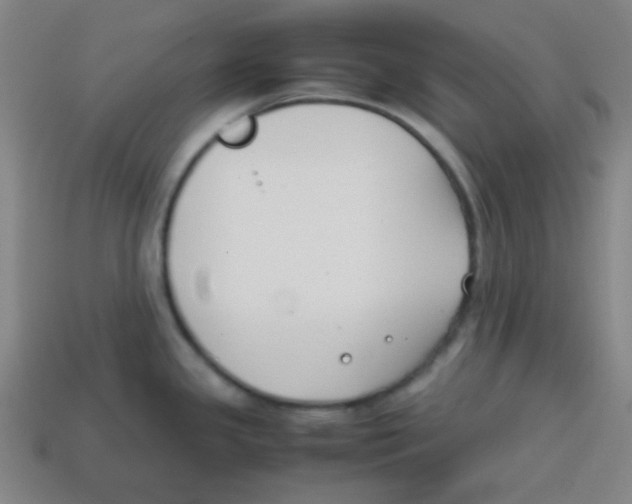 X0000113871341200910221327