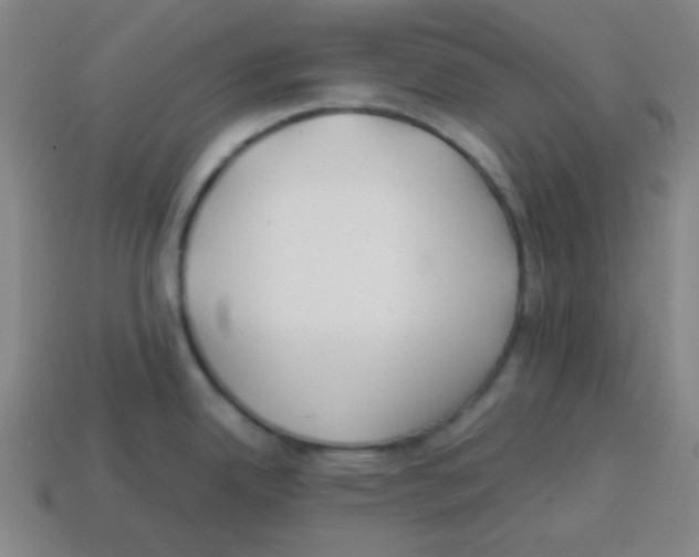 X0000113871342200910221327