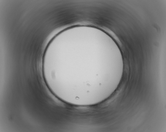 X0000113871343200910221327