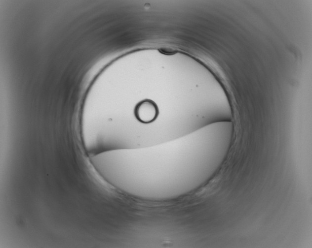 X0000113871344200910221327