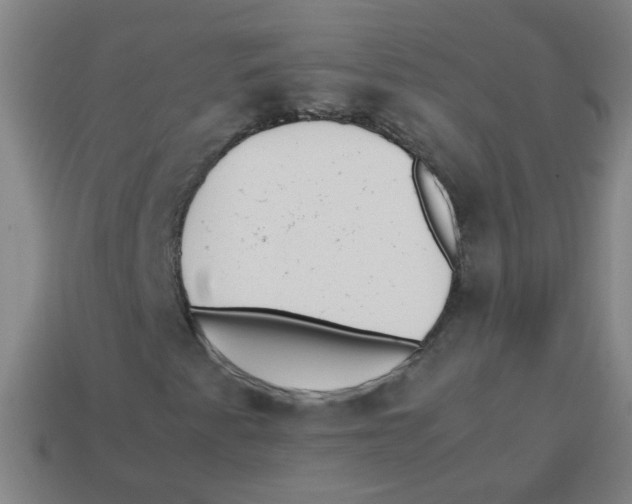 X0000113871345200910221326