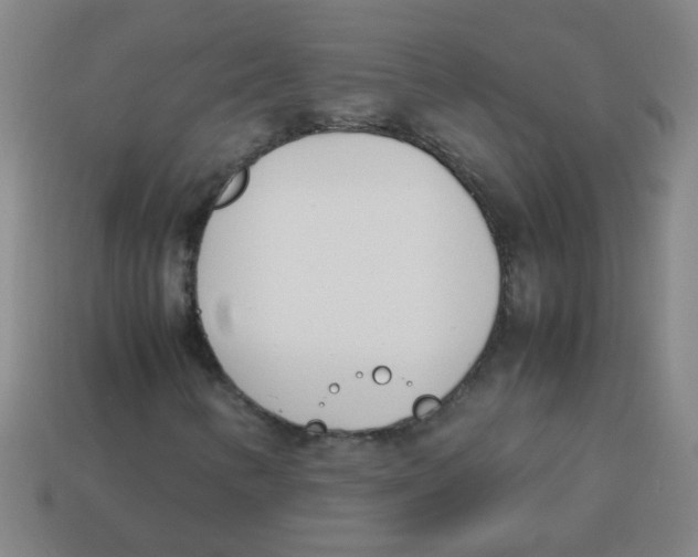 X0000113871346200910221326