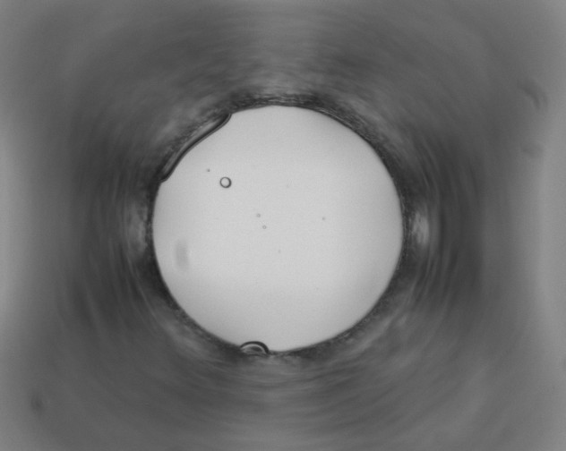 X0000113871348200910221326