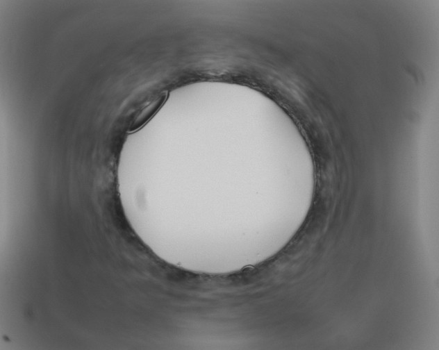 X0000113871349200910221326