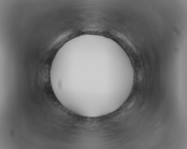 X0000113871350200910221326