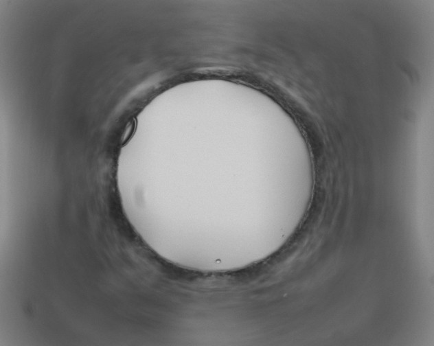 X0000113871351200910221326