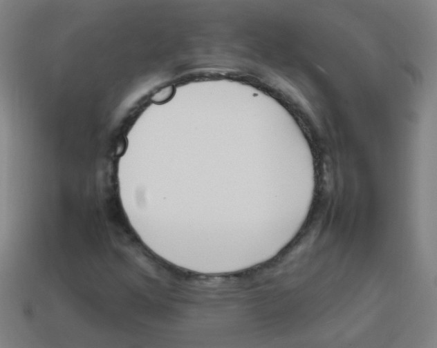 X0000113871352200910221326