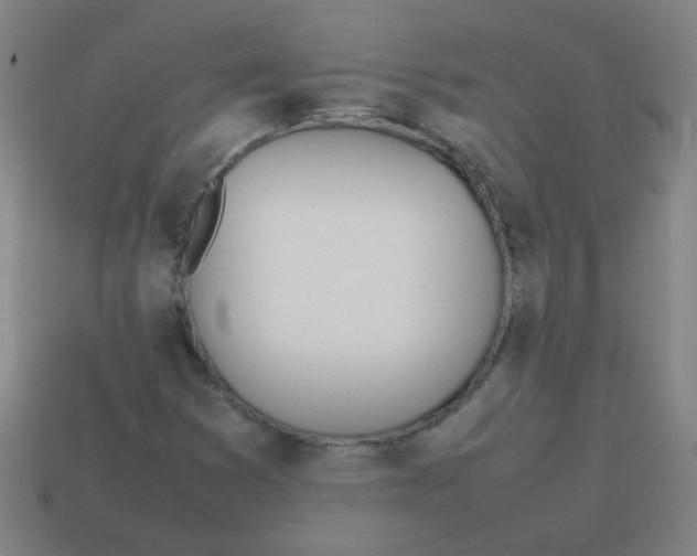 X0000113871353200910221326