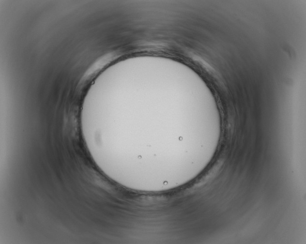 X0000113871354200910221326