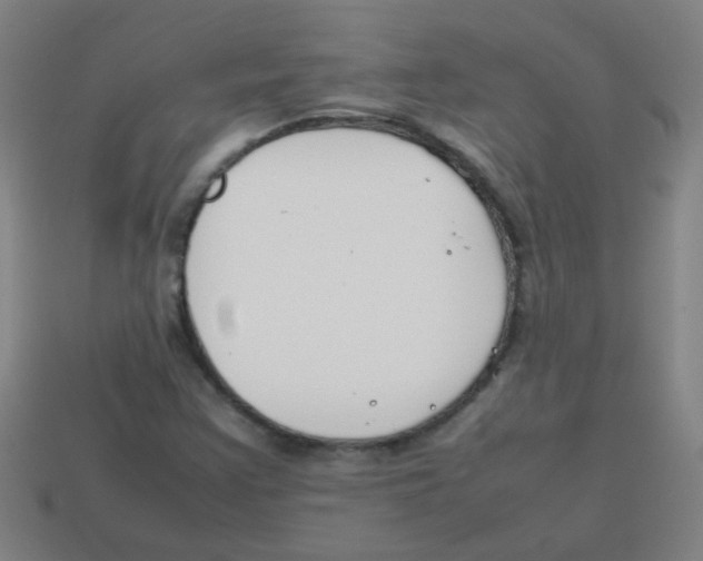 X0000113871355200910221326