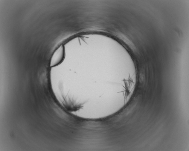 X0000113871356200910221326