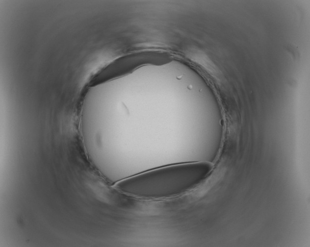 X0000113871357200910221326