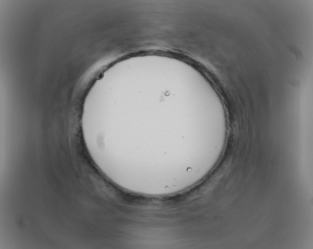 X0000113871359200910221326