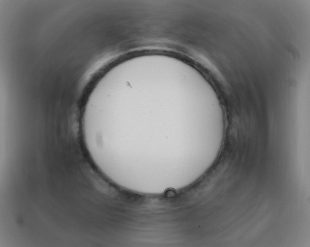 X0000113871360200910221326