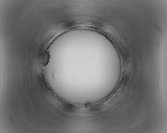 X0000113871361200910221326