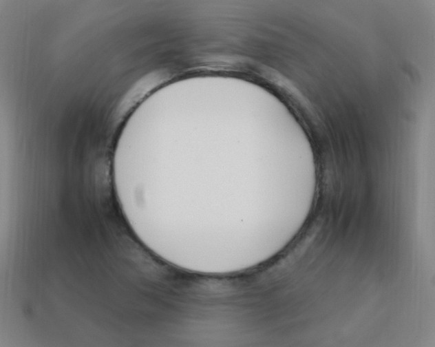 X0000113871362200910221326