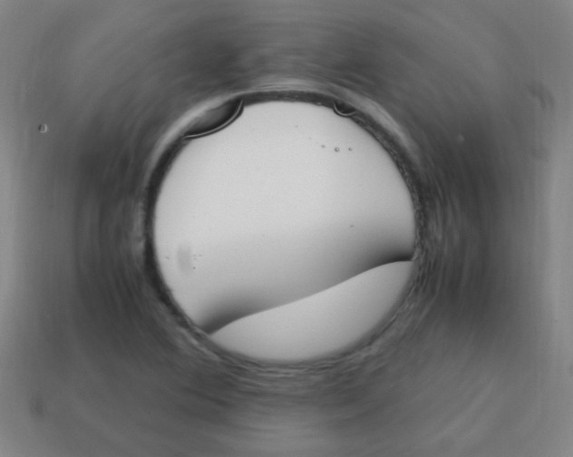 X0000113871364200910221326