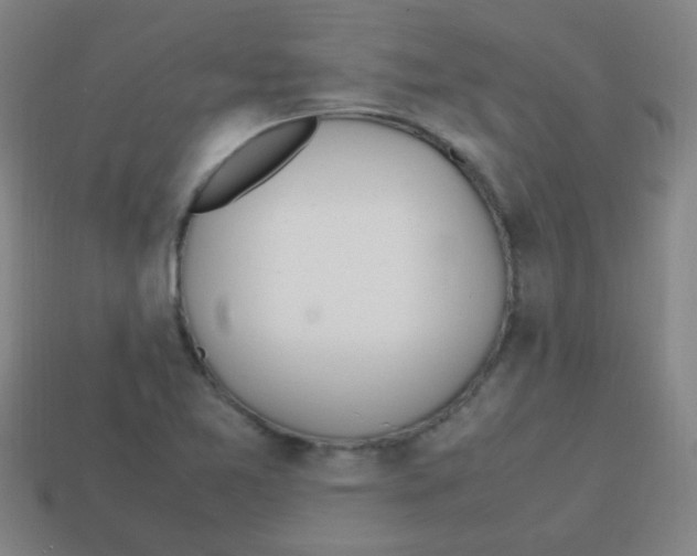 X0000113871365200910221326