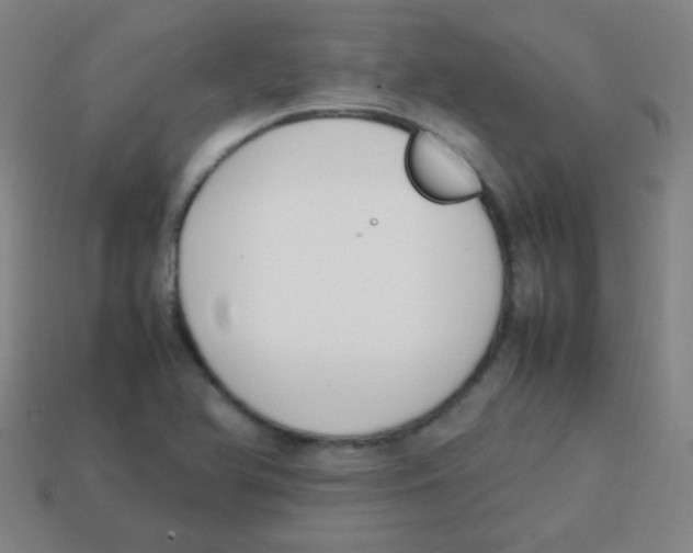 X0000113871366200910221326