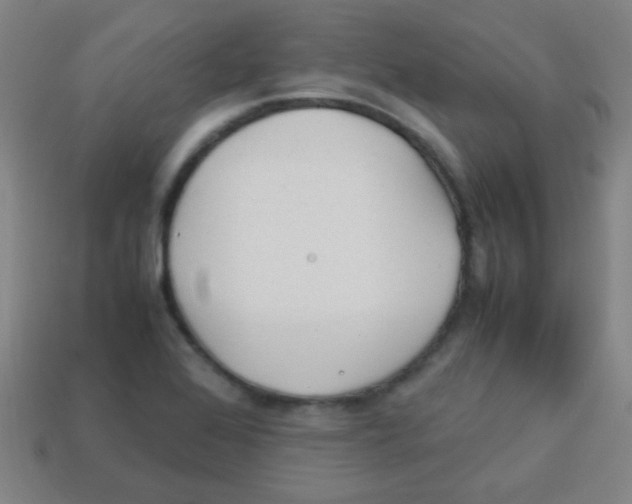 X0000113871368200910221326