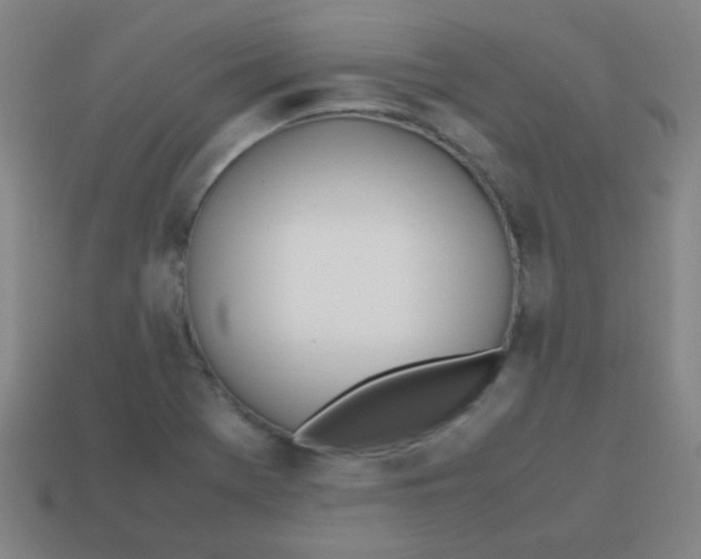 X0000113871369200910221326