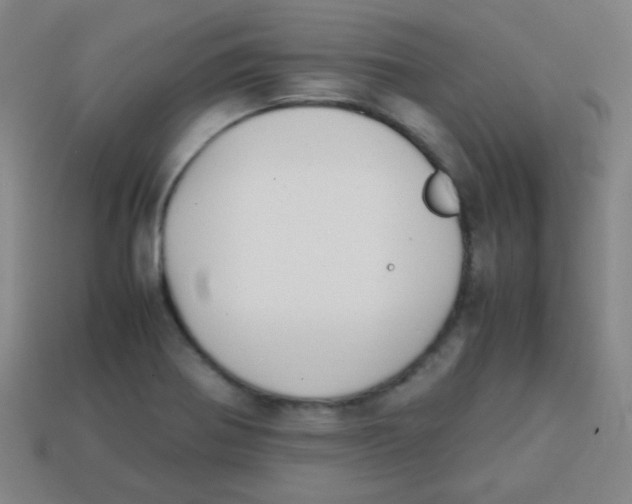 X0000113871370200910221326