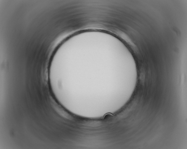 X0000113871372200910221326