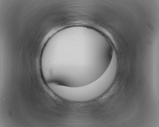 X0000113871373200910221326