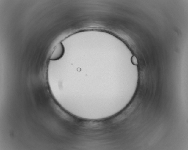 X0000113871374200910221326