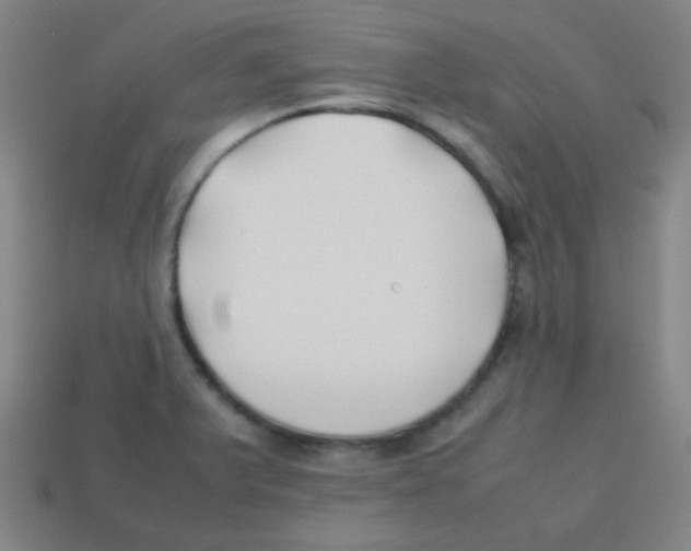 X0000113871375200910221326