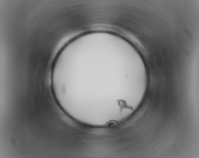 X0000113871376200910221326