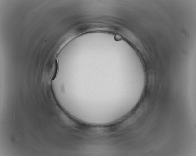 X0000113871377200910221326