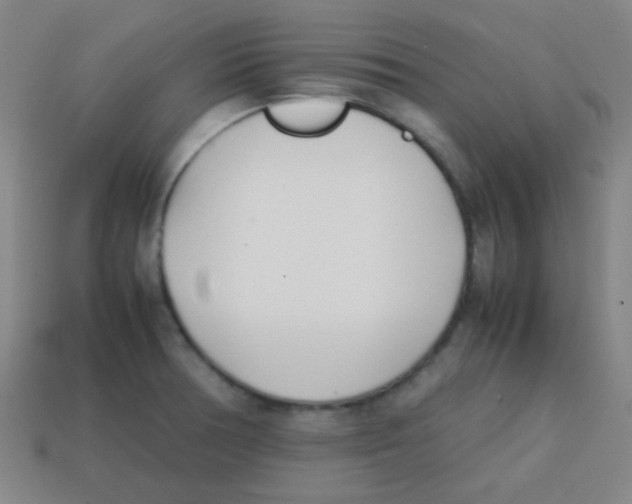 X0000113871378200910221326