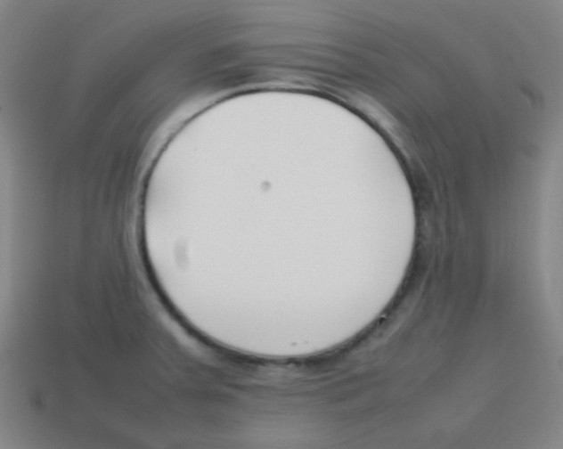 X0000113871379200910221326