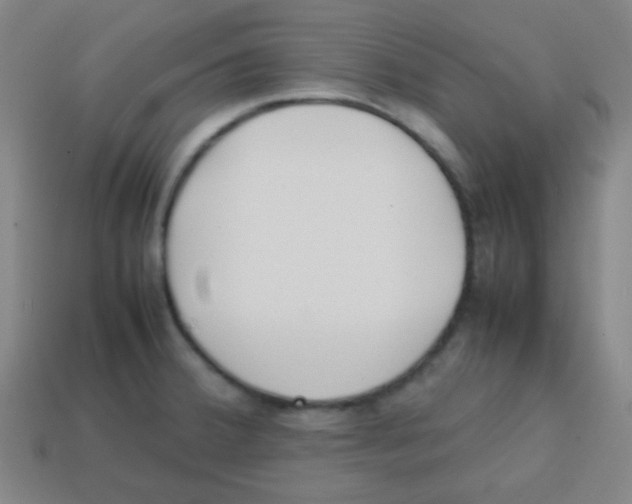 X0000113871380200910221326