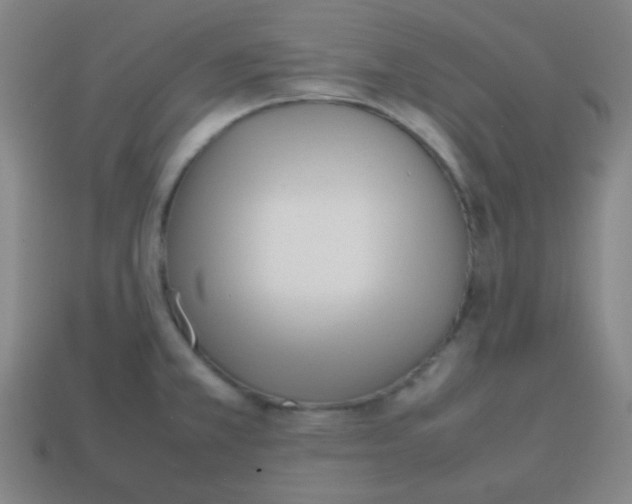 X0000113871381200910221326