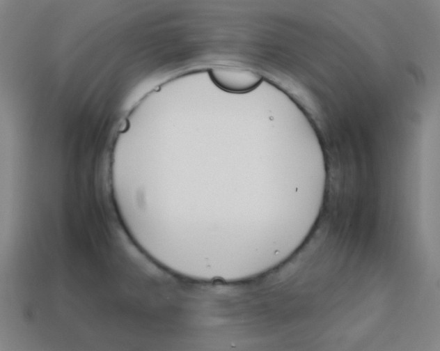 X0000113871382200910221326