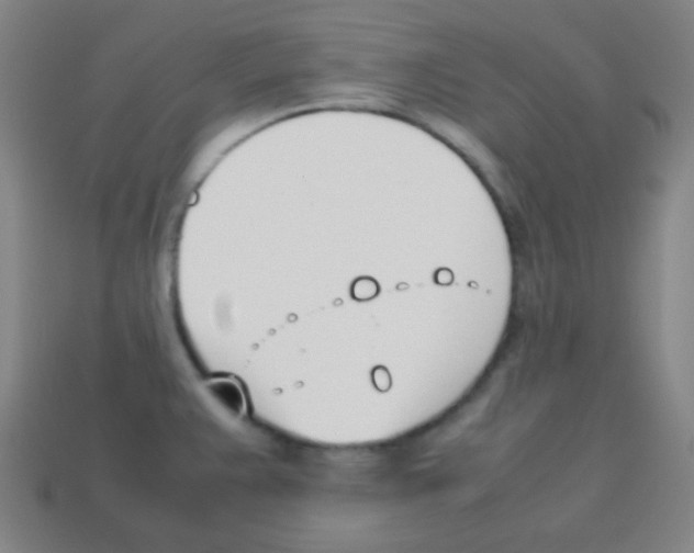 X0000113871383200910221326