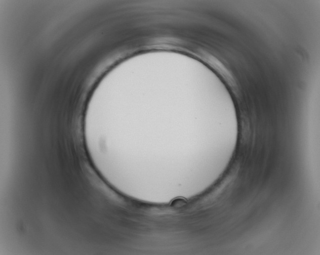 X0000113871384200910221326