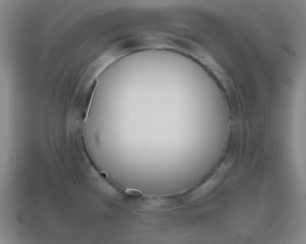 X0000113871385200910221326