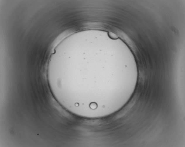 X0000113871386200910221326