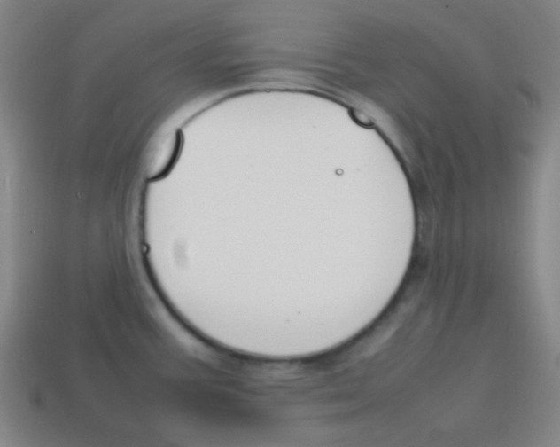 X0000113871387200910221325